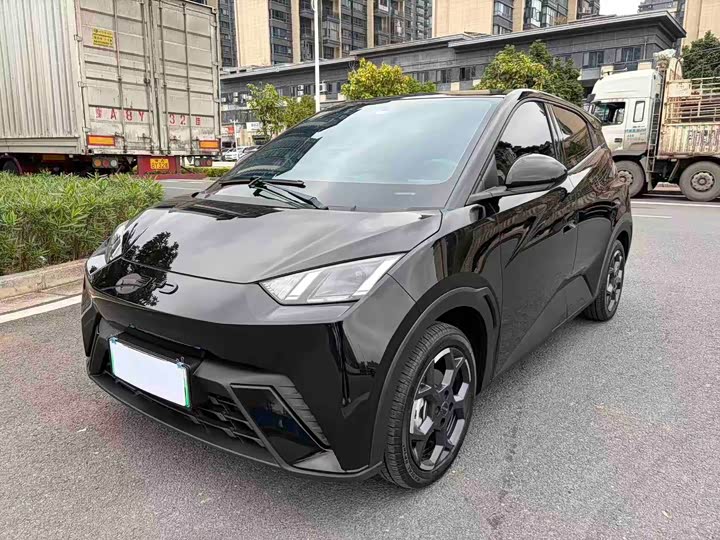 Фото 1 - BYD Seagull