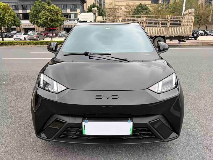 Фото 2 - BYD Seagull