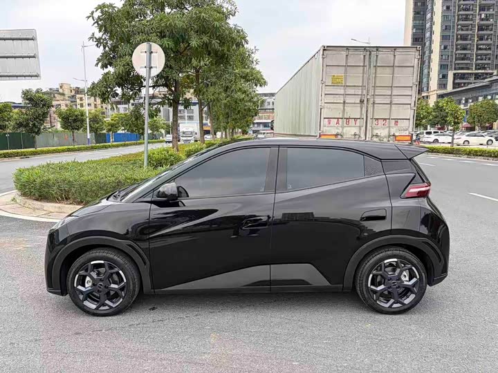 Фото 3 - BYD Seagull