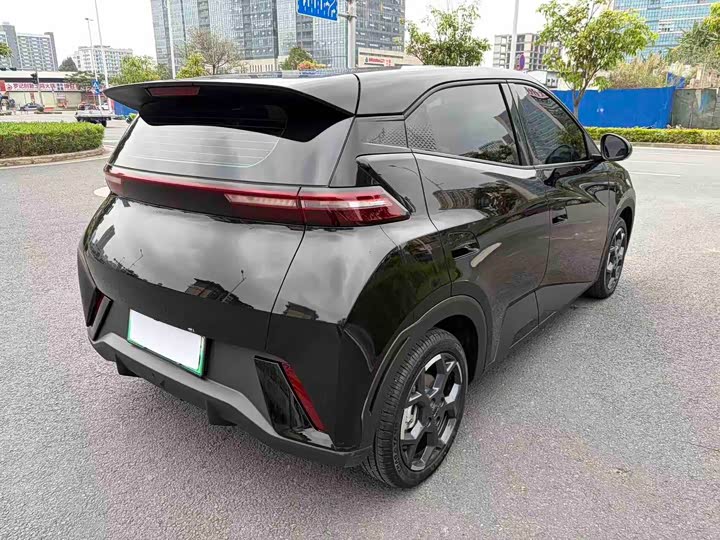 Фото 6 - BYD Seagull