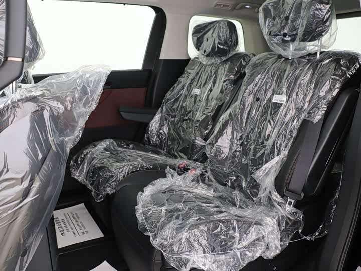 Фото 7 - GAC Trumpchi E8