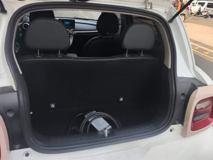 Photo 4 - Ora Black Cat