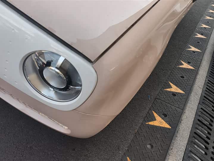 Photo 5 - Ora Black Cat