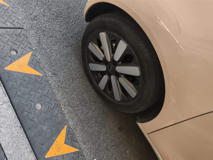 Photo 6 - Ora Black Cat