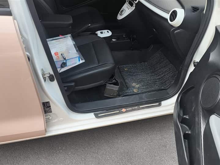 Photo 8 - Ora Black Cat