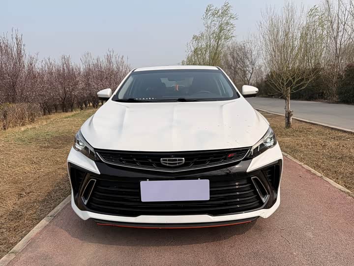 Фото 2 - Geely Binrui
