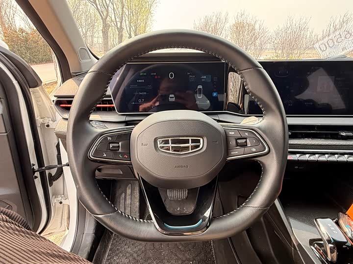 Фото 7 - Geely Binrui