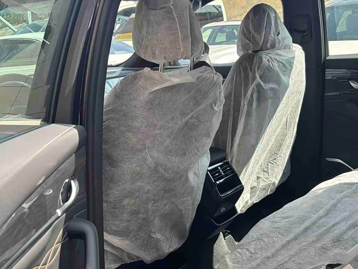 Фото 8 - Geely Monjaro