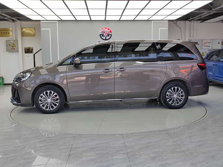 Фото 4 - Buick GL8 ES