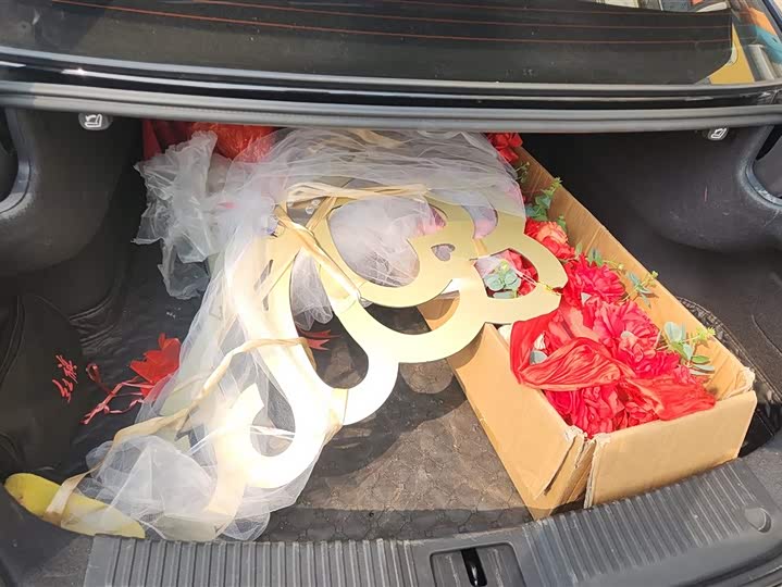 Фото 4 - Hongqi H5