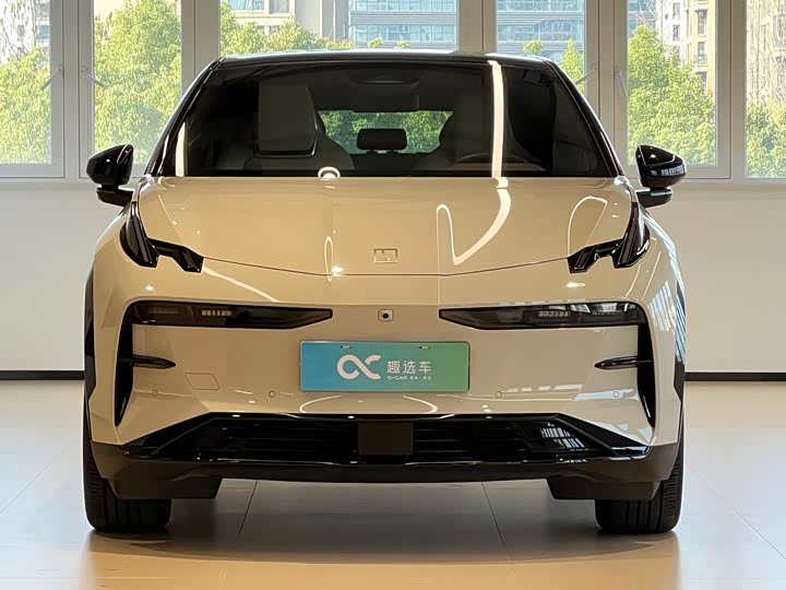 Фото 2 - Zeekr X