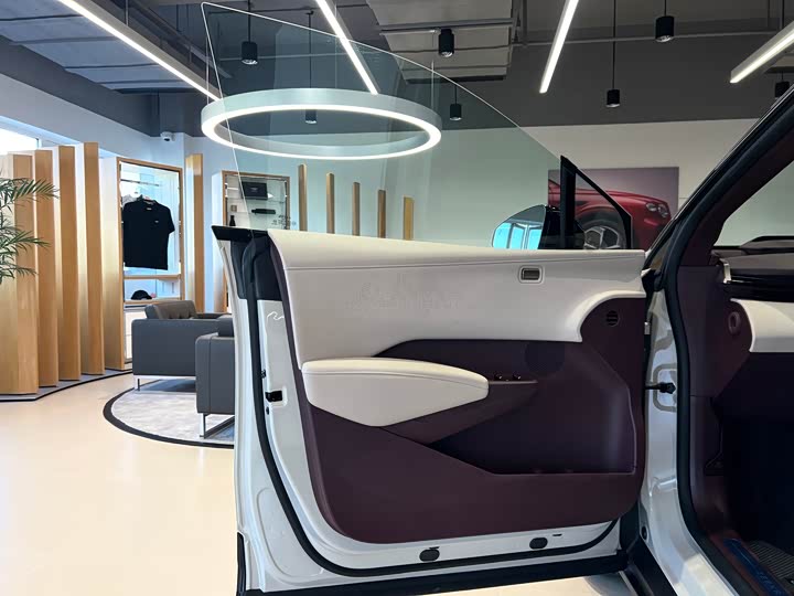 Фото 7 - Zeekr X