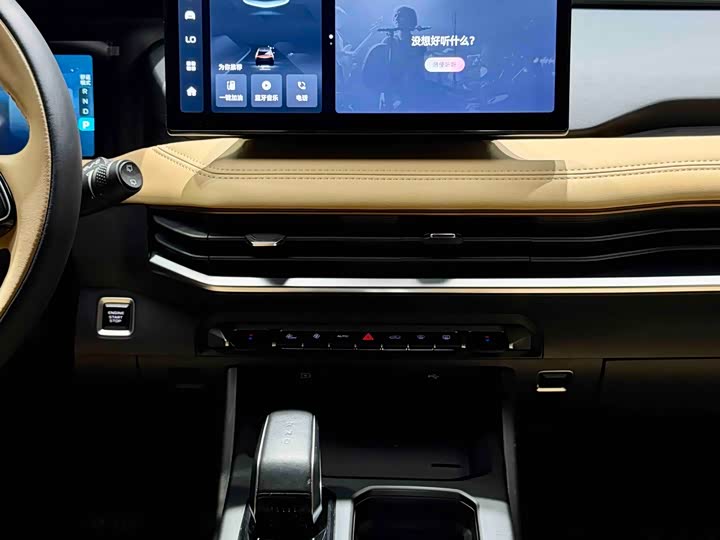 Фото 9 - Geely Okavango L