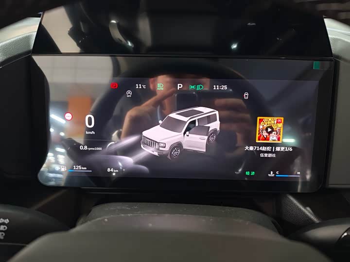 Photo 6 - Haval Raptor