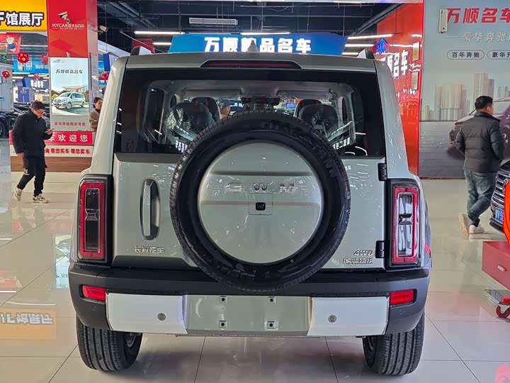 Photo 9 - Haval Raptor