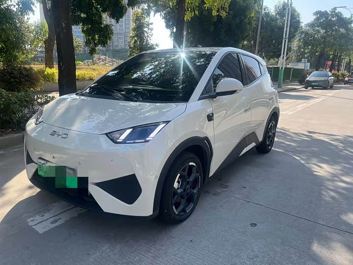 Фото 1 - BYD Seagull