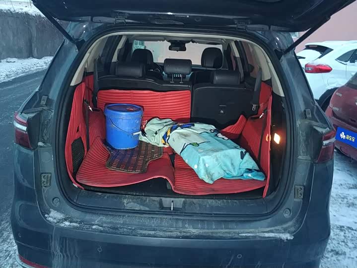 Фото 4 - BYD Song Max