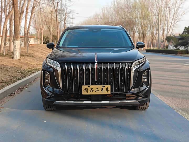 Photo 2 - Hongqi HS7 Hybrid