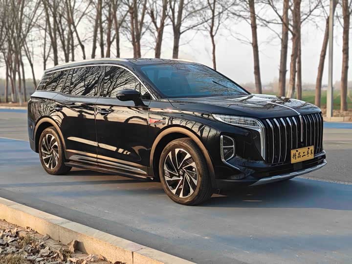 Photo 3 - Hongqi HS7 Hybrid