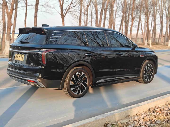 Photo 4 - Hongqi HS7 Hybrid