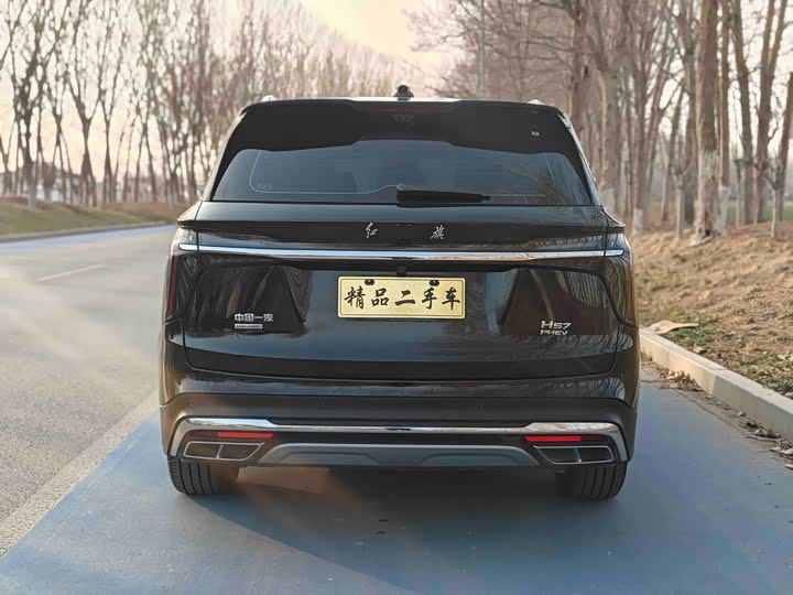 Photo 8 - Hongqi HS7 Hybrid