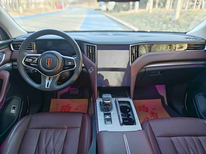 Photo 9 - Hongqi HS7 Hybrid