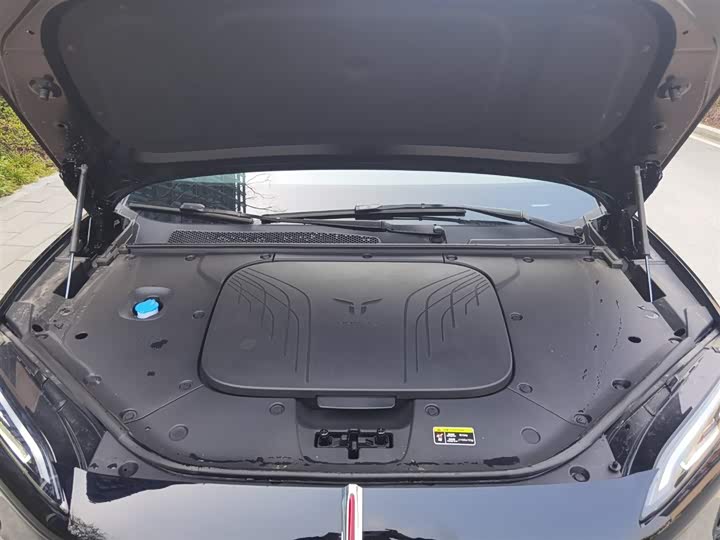 Фото 9 - Hongqi EHS7 (Tiangong 08)