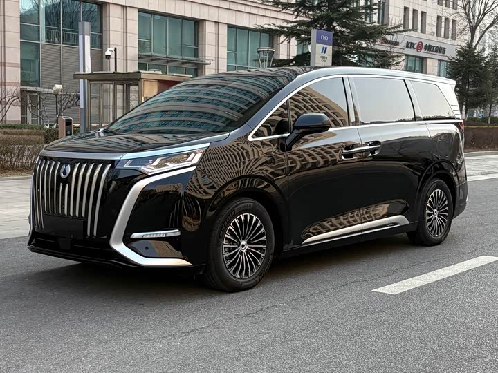 Фото 1 - Denza D9