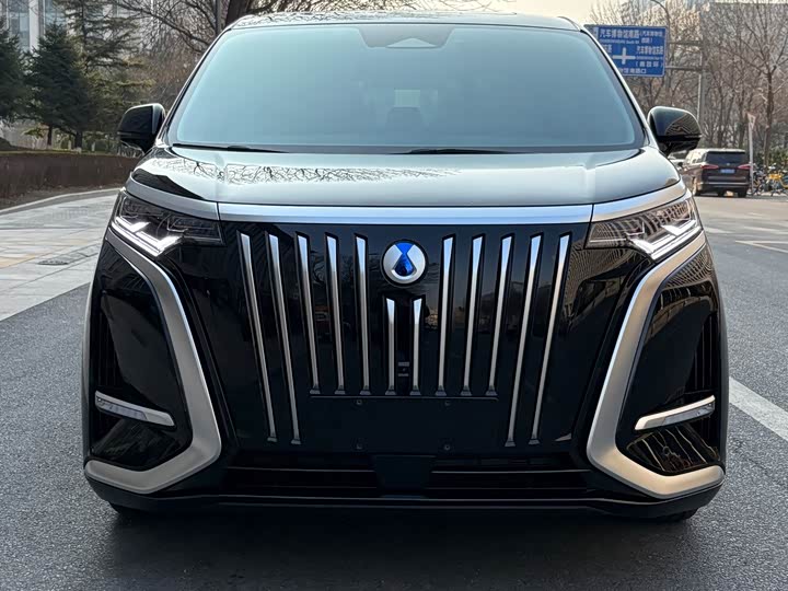 Фото 2 - Denza D9