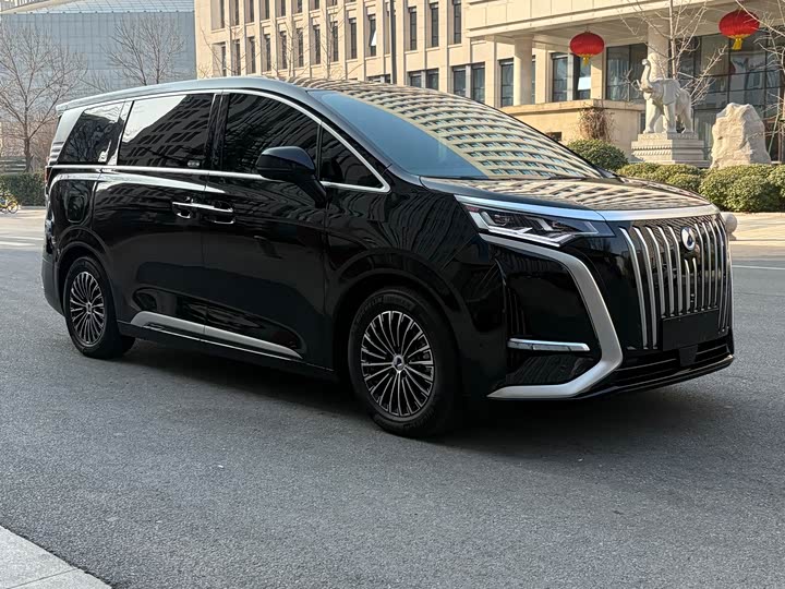 Фото 3 - Denza D9