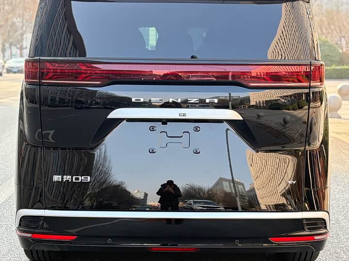 Фото 5 - Denza D9