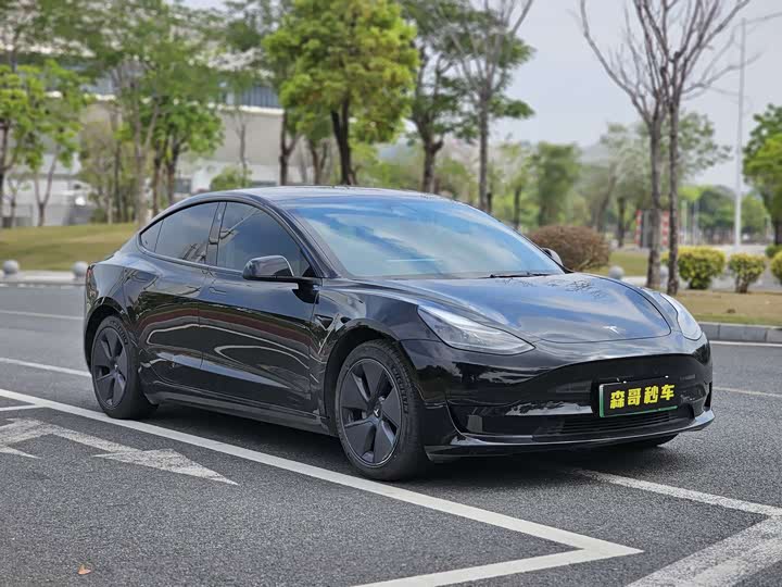 Фото 3 - Tesla Model 3