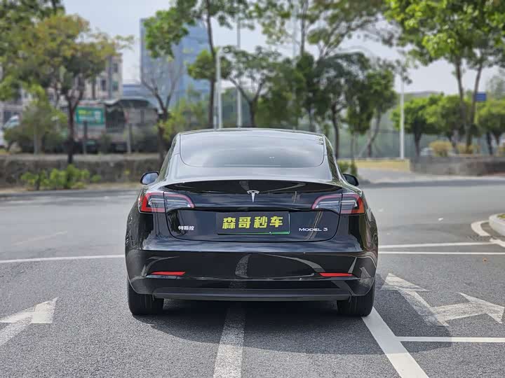 Фото 5 - Tesla Model 3