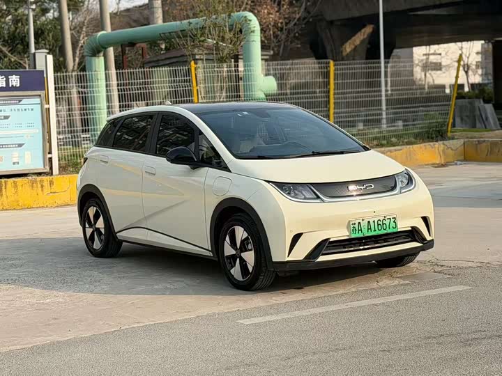 Фото 2 - BYD Dolphin