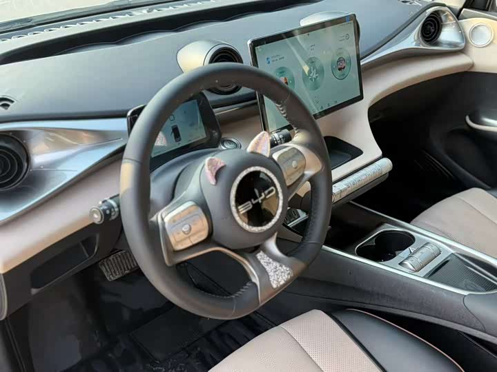 Фото 4 - BYD Dolphin