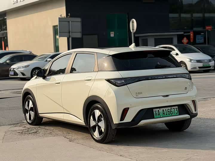 Фото 8 - BYD Dolphin