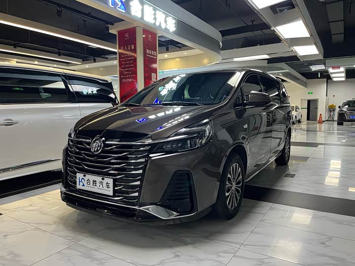 Фото 4 - Buick GL8 ES