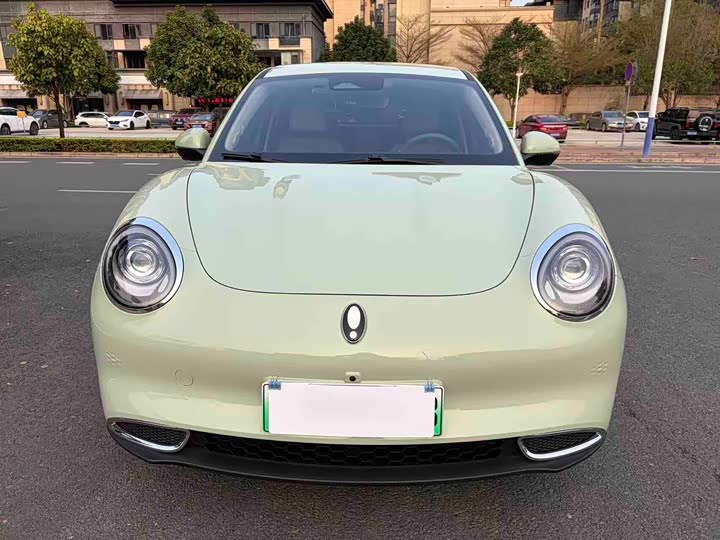 Photo 2 - Ora Good Cat (03)