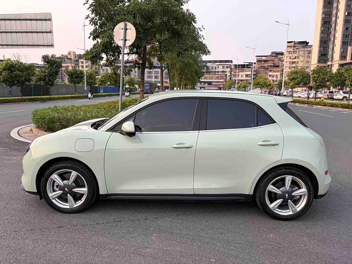 Photo 3 - Ora Good Cat (03)