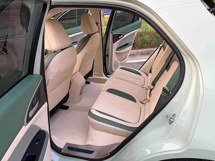 Photo 8 - Ora Good Cat (03)