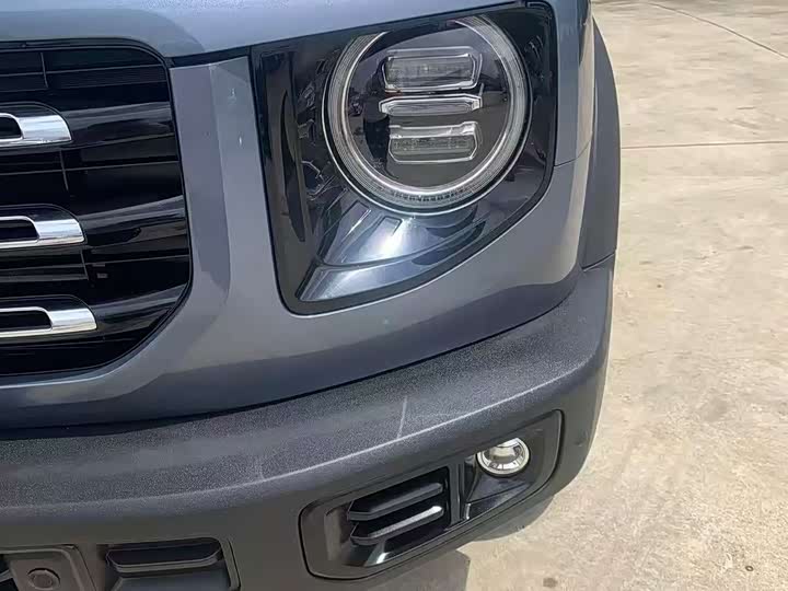 Фото 4 - Haval Dargo