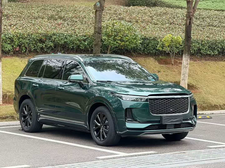 Фото 3 - LiXiang One