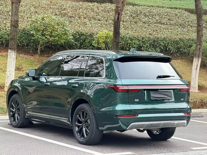 Фото 9 - LiXiang One