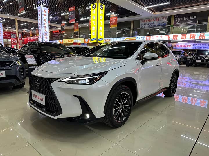 Фото 1 - Lexus NX