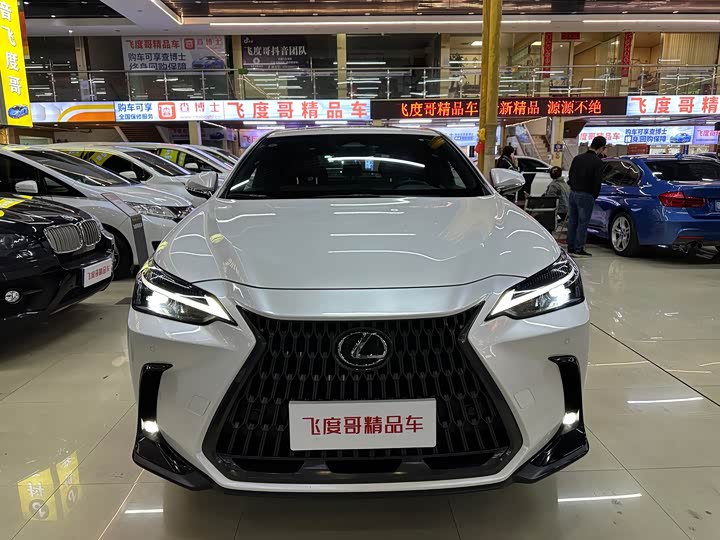 Фото 2 - Lexus NX