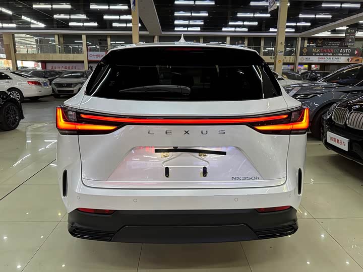 Фото 8 - Lexus NX