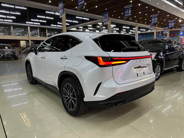 Фото 9 - Lexus NX