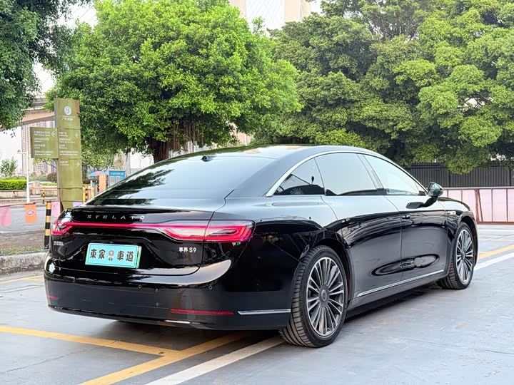 Фото 5 - Stelato S9