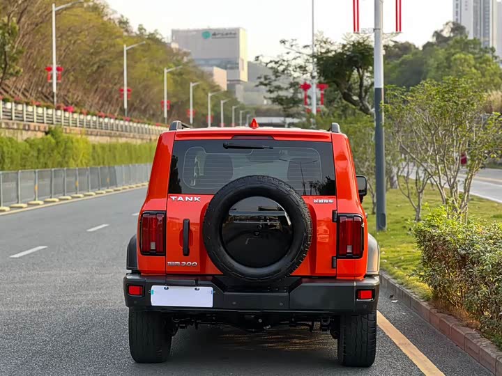 Фото 4 - Tank 300