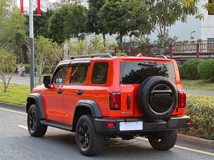 Фото 5 - Tank 300